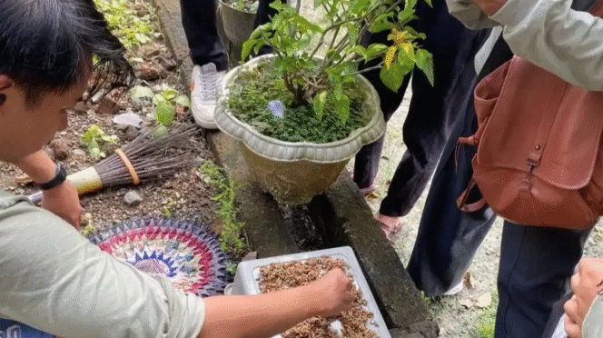 Mahasiswa KKN UNAIR sedang mengolah maggot BSF.