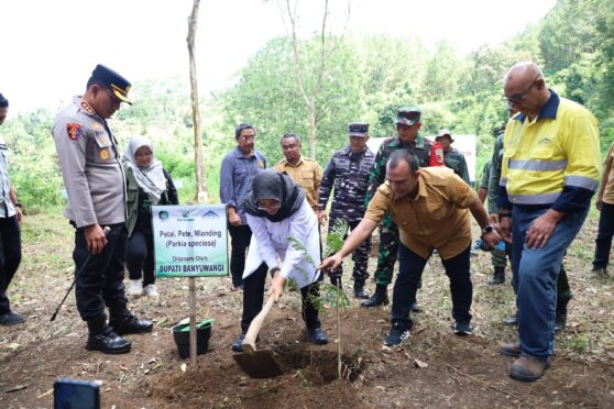 Bupati Banyuwangi bersama Stakeholder Tanam 66 Ribu Pohon di Lereng Ijen untuk Cegah Krisis Lingkungan