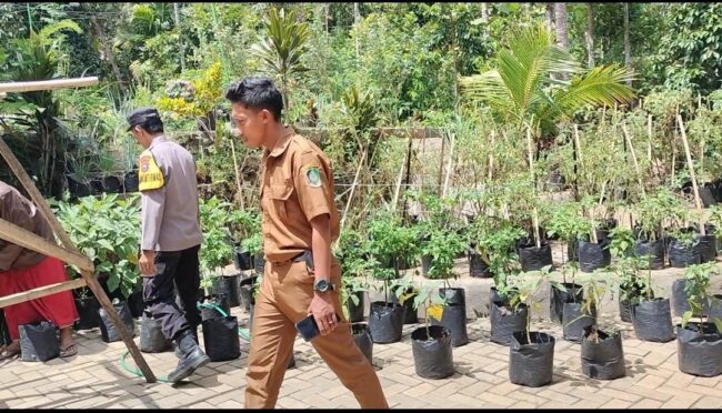 Bhabinkamtibmas Desa Bulusari,Bripka A. Syahroni, memberikan pendampingan keamanan dan motivasi dalam pemanfaatan lahan pekarangan.