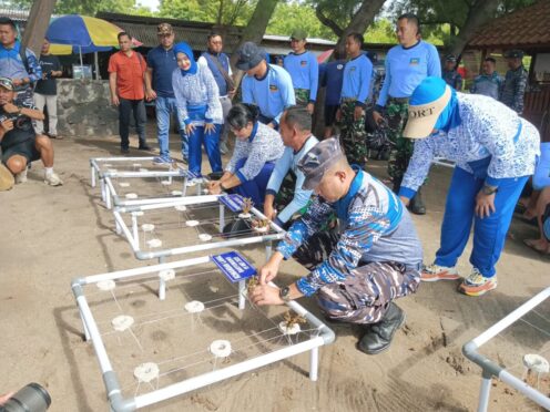 pasukan Kopaska TNi AL melakukan Transplantasi terumbu karang di Bangsring underwater Banyuwangi