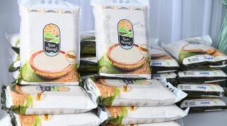 Beras Biofortifikasi Skala Industri