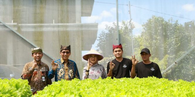 Bunga Desa,Bupati Ipuk bersama Dinas Pertanian di lahan Hidroponik desa Sepanjang