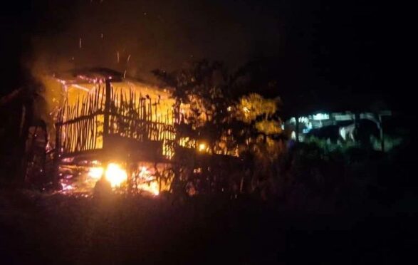 Kandang Terbakar, 9 Kambing Mati Terpanggang