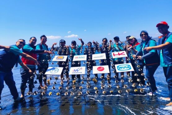 Delapan BUMN Kolaborasi Tanam Terumbu Karang di Banyuwangi