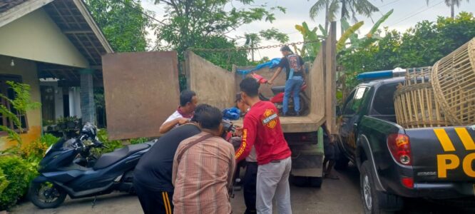 Polresta Banyuwangi Gerebek Arena Judi Sabung Ayam di Purwoharjo