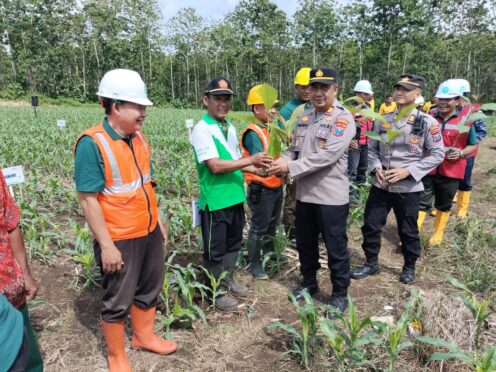 Kegiatan penanaman pohon bersama Perhutani di Petak 76 Banyuwangi Selatan