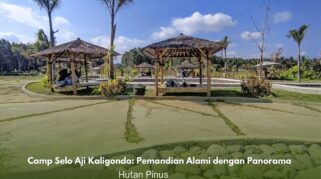 Pemandangan Camp Selo Aji dengan pemandian alami dan hutan pinus di Kaligondo