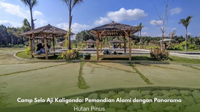 Pemandangan Camp Selo Aji dengan pemandian alami dan hutan pinus di Kaligondo