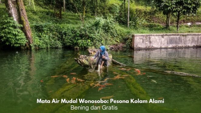 Kolam alami Mata Air Mudal Wonosobo dengan air jernih dan ikan koi yang berenang di dalamnya.