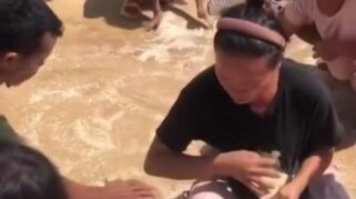 Warga Taput mengumpulkan beras bantuan yang pecah setelah dijatuhkan dari helikopter