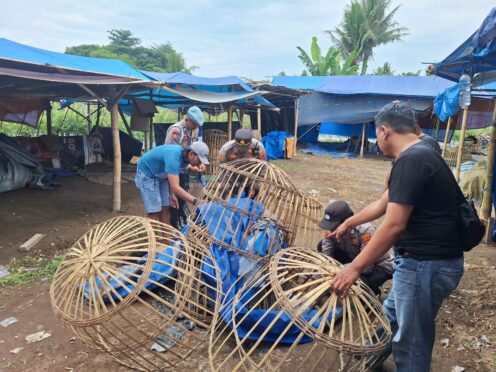 Polisi membakar fasilitas dugaan judi sabung ayam di Banyuwangi