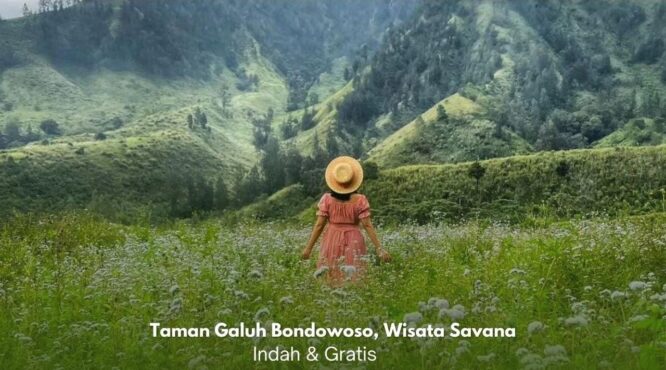 Pemandangan savana hijau di Taman Galuh Bondowoso