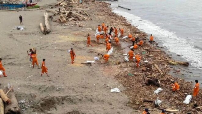 Petugas membersihkan tumpukan sampah kayu di Pantai Padang pascabencana