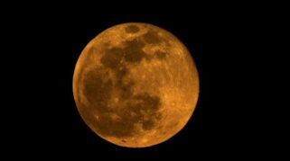 Super Cold Moon tampak besar di langit malam Indonesia