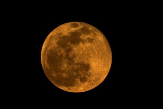 Super Cold Moon tampak besar di langit malam Indonesia