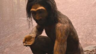 Fosil Homo juluensis manusia purba China