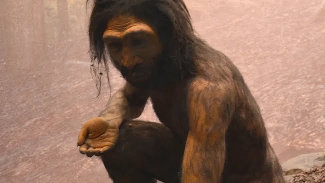 Fosil Homo juluensis manusia purba China