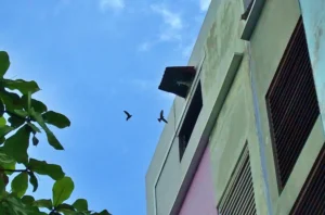 Kantor PT Abadi Lestari Indonesia Tbk