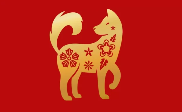 Ramalan Shio Anjing 2026 tentang rezeki, karier, dan kehidupan