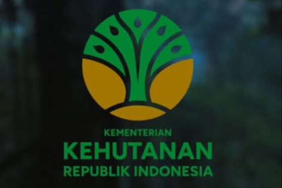 Kantor Kemenhut didatangi penyidik Kejagung untuk pencocokan data