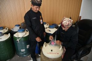 Petugas Dinas Pertanian dan pangan Banyuwangi memeriksa Tempat Sprema Hewan