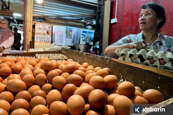 Pedagang menata cabai rawit merah dan bahan pangan di pasar tradisional
