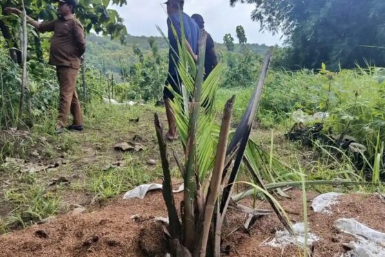Gubernur Jawa Barat Dedi Mulyadi saat memberikan keterangan