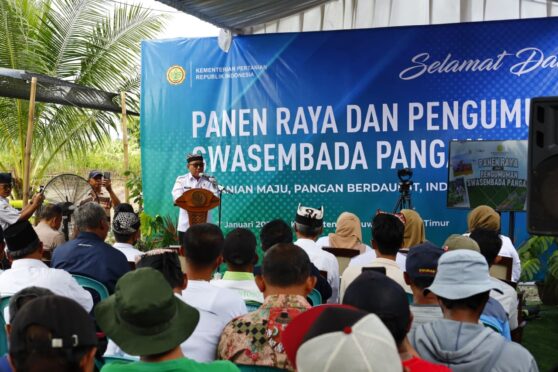 Panen raya padi di Kabupaten Banyuwangi