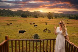 Padang savana taman nasional alas purwo