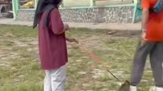 Lapangan Kridosono Blora tempat kucing ditendang hingga mati