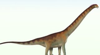 Ilustrasi Dasosaurus tocantinensis dinosaurus baru dari Brasil