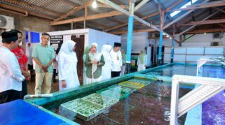 Budidaya koral hias di Banyuwangi untuk ekspor