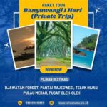 Panduan Lengkap Paket Wisata Banyuwangi 1 Hari Terbaik dan Efisien