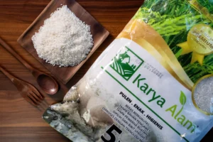 5 Cara Memilih Beras Berkualitas untuk Ketupat Lebaran yang Pulen dan Tahan Lama