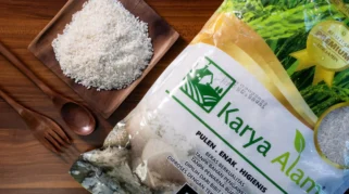 5 Cara Memilih Beras Berkualitas untuk Ketupat Lebaran yang Pulen dan Tahan Lama