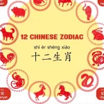 5 Shio yang Paling Sulit Mempercayai Orang Lain: Ciri‑Ciri Trust Issue dalam Zodiak Tionghoa