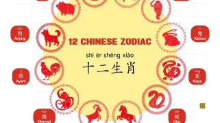 5 Shio yang Paling Sulit Mempercayai Orang Lain: Ciri‑Ciri Trust Issue dalam Zodiak Tionghoa
