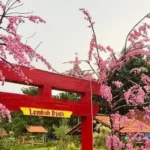 7 Destinasi Wisata Alam di Nganjuk untuk Libur Lebaran 2026