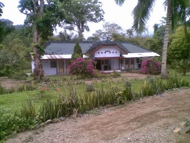 Akomodasi dan Penginapan di Sekitar Sukamade