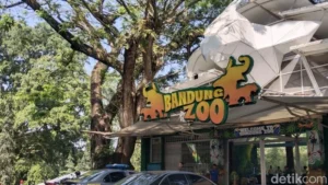 Bandung Zoo Tutup Saat Lebaran, Wali Kota Farhan Beri Rp1 Juta kepada 122 Pegawai