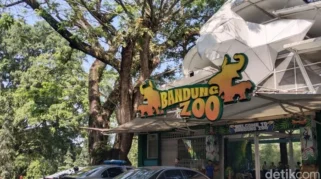 Bandung Zoo Tutup Saat Lebaran, Wali Kota Farhan Beri Rp1 Juta kepada 122 Pegawai