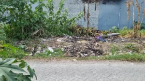 Bayi 2 Minggu Ditemukan Terbungkus Kresek di Gresik Diduga Dibunuh