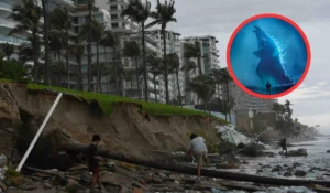 BRIN Prediksi El Niño “Godzilla” 2026, Kemarau Panjang Mengancam Indonesia