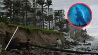 BRIN Prediksi El Niño “Godzilla” 2026, Kemarau Panjang Mengancam Indonesia