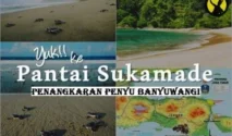 Cara mencapai Pantai Sukamade: Rute darat utama dari Banyuwangi