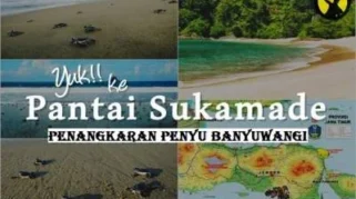 Cara mencapai Pantai Sukamade: Rute darat utama dari Banyuwangi