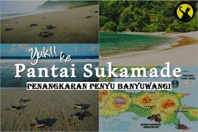 Cara mencapai Pantai Sukamade: Rute darat utama dari Banyuwangi