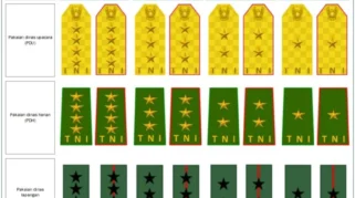 Daftar Perwira Tinggi TNI yang Diprediksi Mengisi Jabatan Kabais setelah Pengunduran Letjen Yudi Abrimantyo