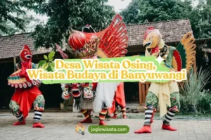 Destinasi wisata budaya Osing di Banyuwangi