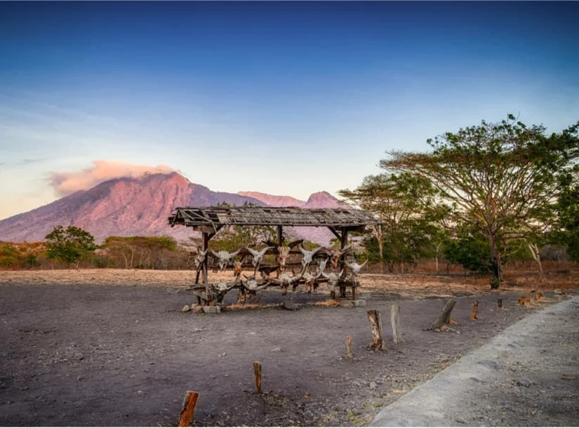 Etika Fotografi dan Konservasi di Baluran